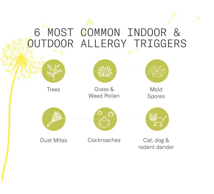 indoor-outdoor-allergies-infographic